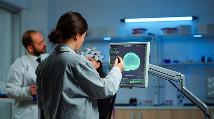 Doctor Examining the brain through a monitor