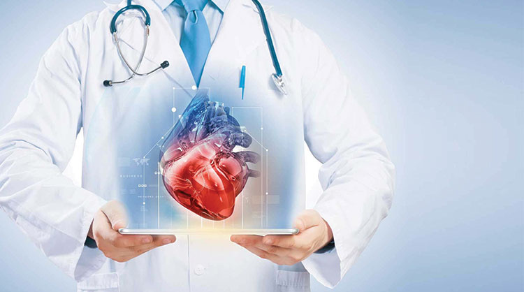 Cardiologist having illustration of heart in hand