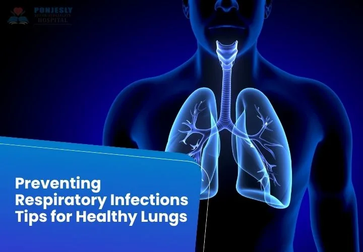 Lungs